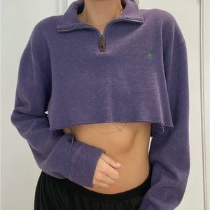 Polo by Ralph Lauren Lavender Cropped Hoodie